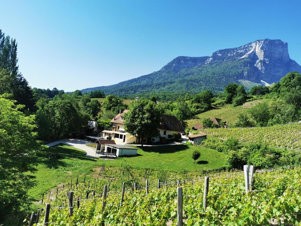L'Etang De La Tourne Bed & Breakfast Les Marches Exterior foto