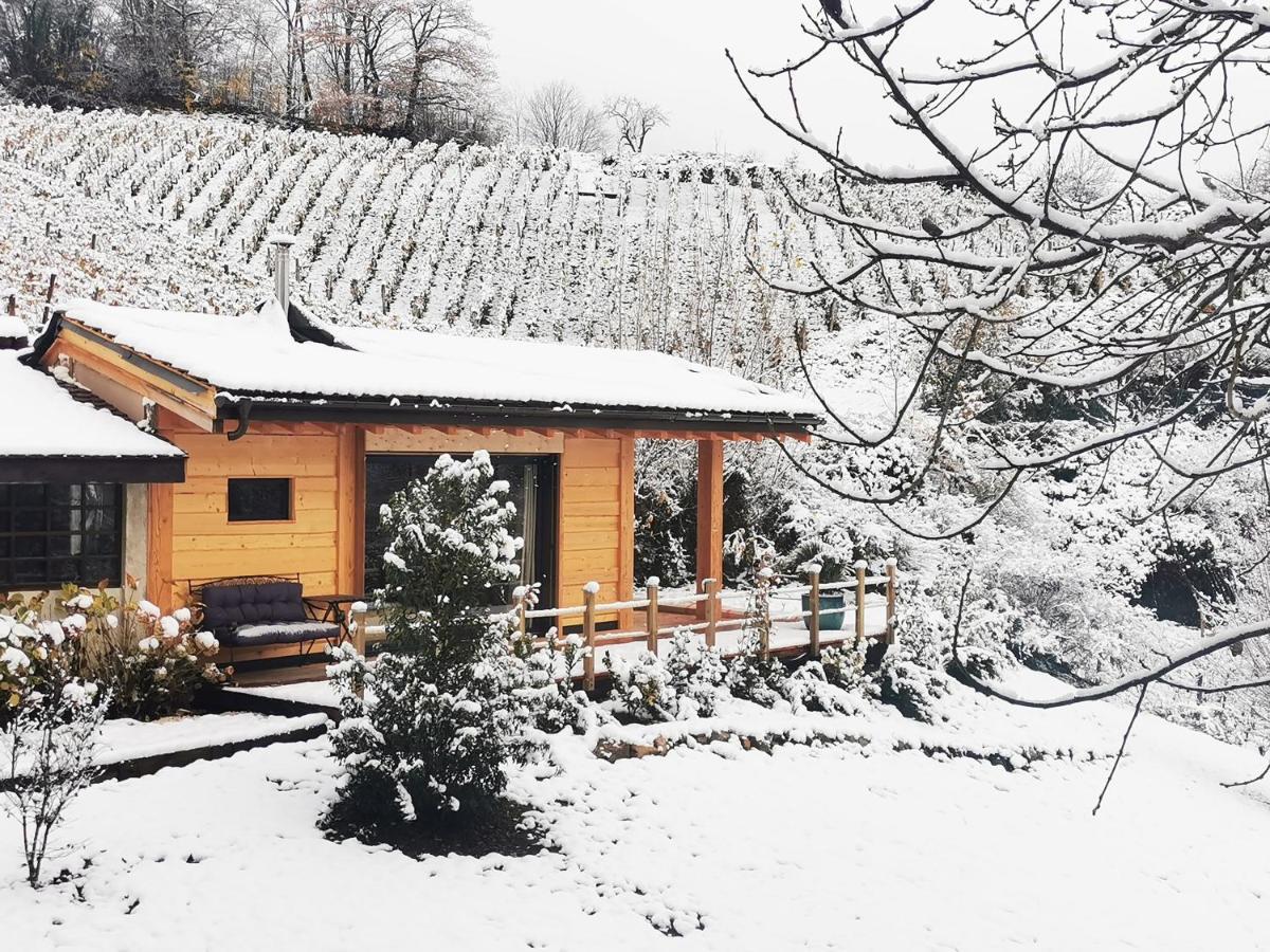 L'Etang De La Tourne Bed & Breakfast Les Marches Exterior foto
